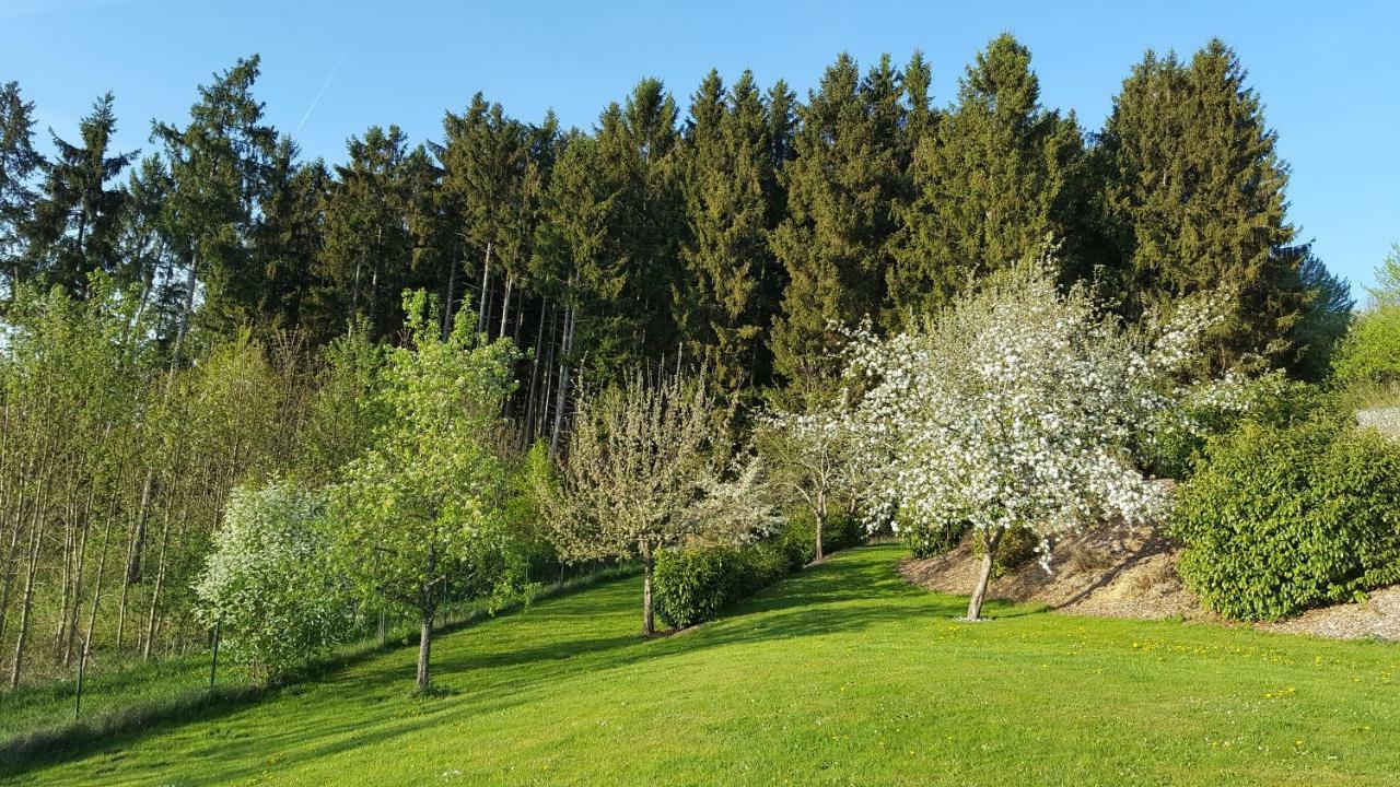 Ferienwohnung Am Waldrand Herdwangen-Schonach Экстерьер фото